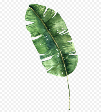 Banana Leaf, Banana, Download, Leaf, Plant PNG Banana Leaf, Banana, Download, Leaf, Plant PNG