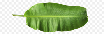 Banana leaf - banana leaves Banana leaf - banana leaves