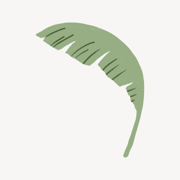 Banana leaf, botanical illustration collage | Free Vector - rawpixel Banana leaf, botanical illustration collage | Free Vector - rawpixel