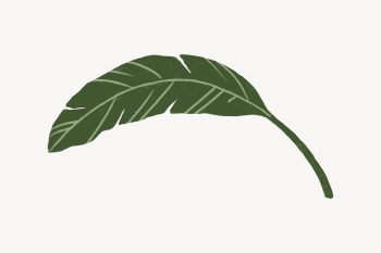 Banana leaf, botanical illustration collage | Free Vector - rawpixel Banana leaf, botanical illustration collage | Free Vector - rawpixel