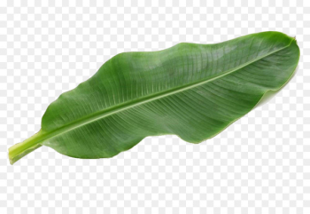 Banana leaf Pisang goreng Food - Emerald green banana leaf PNG picture 