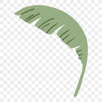 Banana leaf png sticker, botanical | Free PNG - rawpixel Banana leaf png sticker, botanical | Free PNG - rawpixel