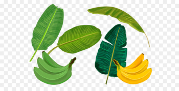Banana leaf Sadhya - Vector green banana banana leaf Banana leaf Sadhya - Vector green banana banana leaf