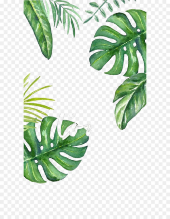 Banana leaf Wallpaper - Hand painted turtle bamboo Banana leaf Wallpaper - Hand painted turtle bamboo