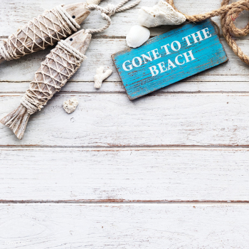 Banner sea seashell | Free stock photo - 67593 Banner sea seashell | Free stock photo - 67593