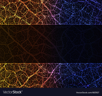 Banner vector image Banner vector image