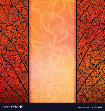 Banner vector image Banner vector image