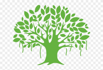 Banyan Tree Clipart Leaf - Banyan Tree Logo Png