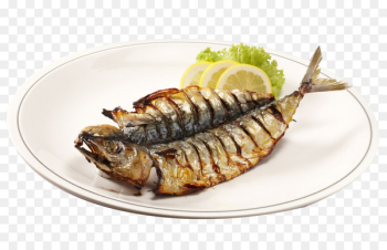 Barbecue grill Fish Dish Roasting - The dish of grilled fish Barbecue grill Fish Dish Roasting - The dish of grilled fish