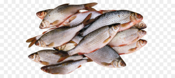 Barbecue Seafood Fish as food - Fish PNG Barbecue Seafood Fish as food - Fish PNG