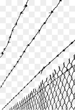 Barbed Wire PNG Transparent Barbed Wire.PNG Images. | PlusPNG