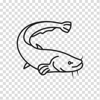 Barbels, cat fish, catfish, fish, game fish, ray-finned fish ...