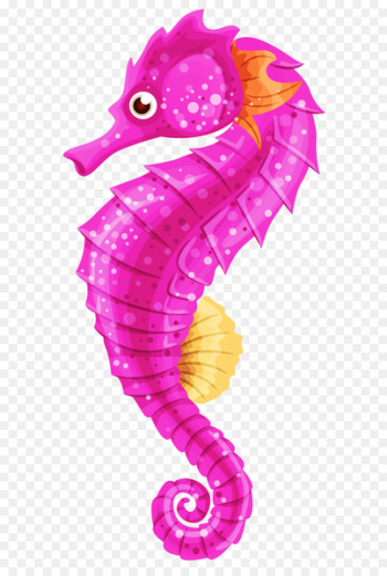 Barbour's seahorse Big-belly seahorse Seahorse World Clip art - Seahorse PNG 
