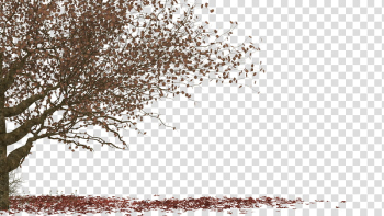 , bare tree illustration transparent background PNG clipart