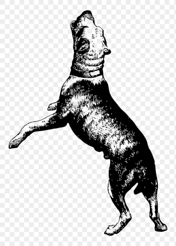 Barking dog png sticker, vintage | Free PNG - rawpixel Barking dog png sticker, vintage | Free PNG - rawpixel
