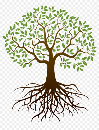 Barnes Family Reunion - Tree Clipart With Roots