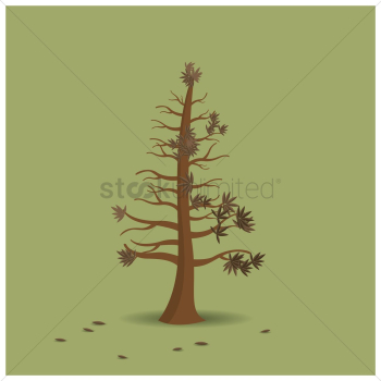 Barren tree Barren tree