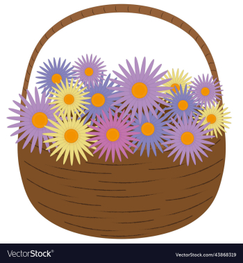 basket full of varicolored autumn aster flowers basket full of varicolored autumn aster flowers