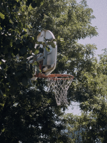 Basketball Hoop Basketball Hoop