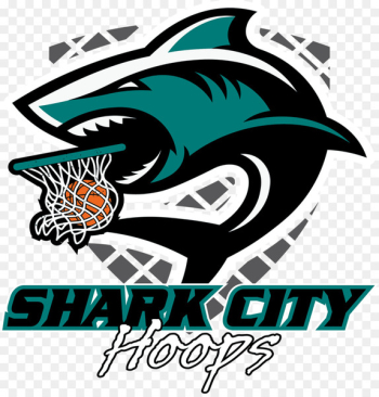BASKETH AnA HOOPS BASKETBALL STORE Sport Santa Clara Seven Trees - sharks 
