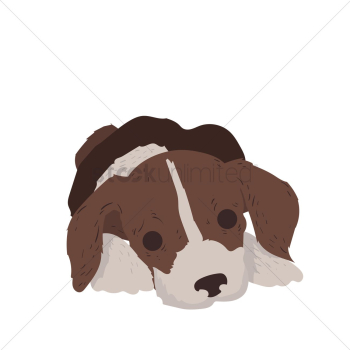 Basset hound puppy Basset hound puppy