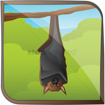 Bat