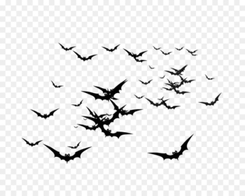Bat - bat Bat - bat