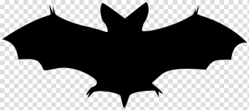 Bat , bat transparent background PNG clipart Bat , bat transparent background PNG clipart