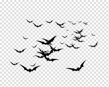 Bat, bat transparent background PNG clipart