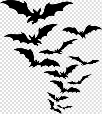 Bat , bat transparent background PNG clipart