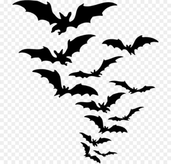 Bat Clip art - bat 