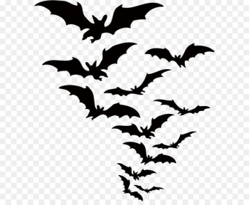 Bat Halloween Clip art - Vector bat 