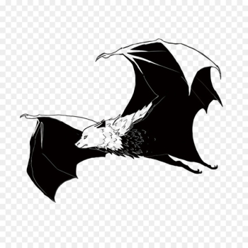 Bat - Vector bat Bat - Vector bat