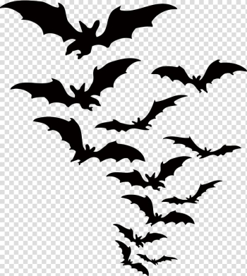 Bats illustration, Bat Halloween , bat transparent background PNG clipart