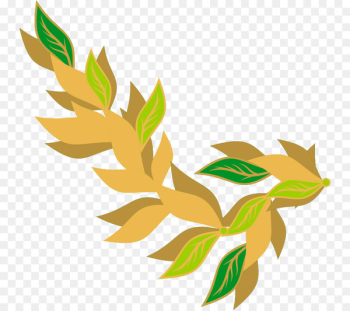 Bay laurel Bay leaf Pimenta racemosa Clip art - scoured border 