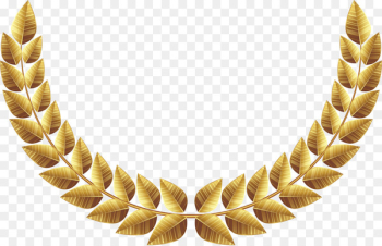 Bay Laurel, Stock Photography, Laurel Wreath, Fashion Accessory, Jewellery PNG