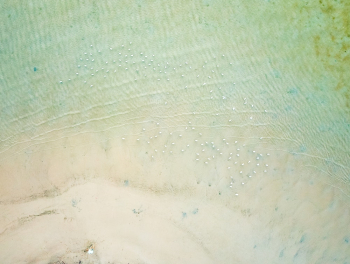 Beach Beach