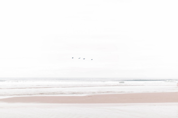 Beach Beach