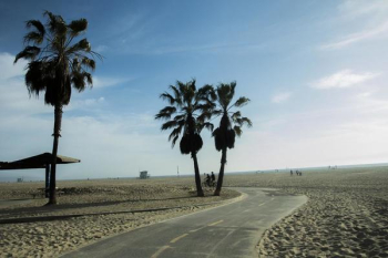 Beach Bike Path Beach Bike Path