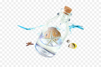 Beach Bottle Seashell - Sea elements Beach Bottle Seashell - Sea elements