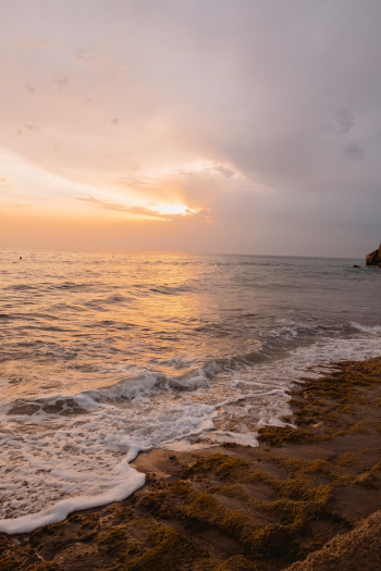 Beach During Golden Hour Beach During Golden Hour