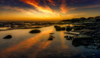 Beach During Sunset Beach During Sunset
