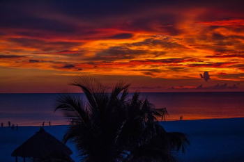 beach during sunset beach during sunset