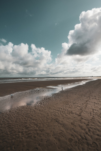 Beach Line White Clouds Beach Line White Clouds