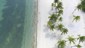 Beach. Original public domain image | Free Photo - rawpixel