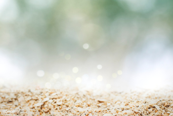 Beach product background | Free stock photo - 585684 Beach product background | Free stock photo - 585684