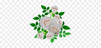 Beach Rose Beach Rose