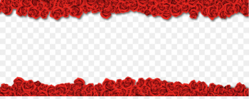 Beach rose Download Flower - Rose border material Beach rose Download Flower - Rose border material