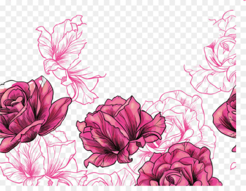 Beach rose Euclidean vector Flower - Purple Rose Beach rose Euclidean vector Flower - Purple Rose