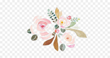 Beach rose Flower Pink - flower Beach rose Flower Pink - flower
